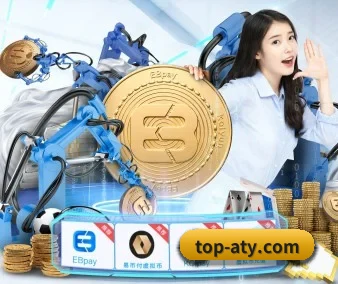安全风控系统强化