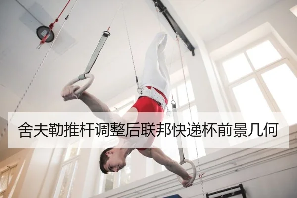舍夫勒推杆调整后联邦快递杯前景几何